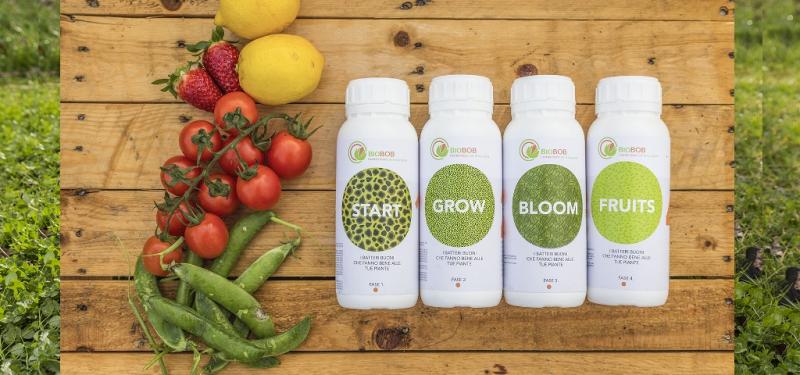 Kit Olivo – BioBob, il fertilizzante naturale per piante da orto e fiori