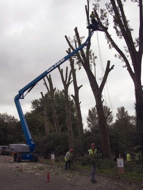 GENIE ITALIA - GRUPPO TEREX